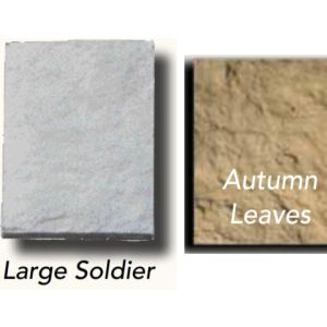 Canyon Large Soldier Autumn Leaves