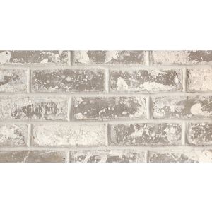 TruBrix Olde Dublin Cor Standard