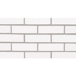 WHITE STD 8"  GLAZED  QUION