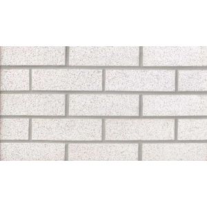 SPICE WHITE STD 8" GLAZED SGR