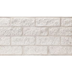 Nitterhouse Concrete Brick A-13 Stretchr