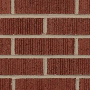 RED VERTEX STANDARD CORED